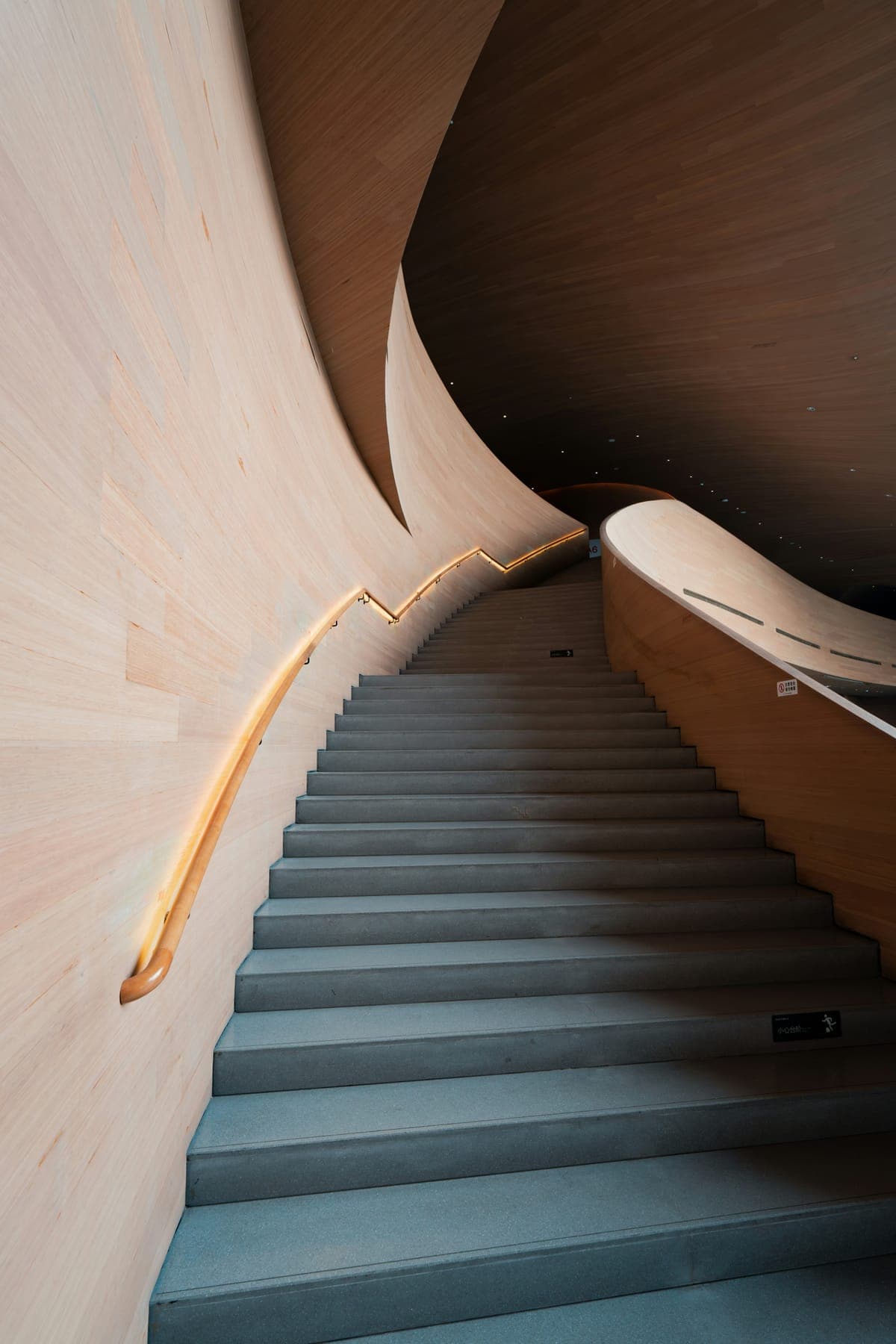 Curving staircase between pale timber walls with a glowing handrail.