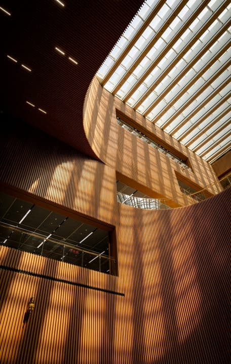 Atrium with timber slat walls glowing in striped sunlight beneath a curved skylight.